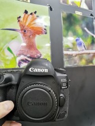 Canon 5D4  5DIV 5D MK 4