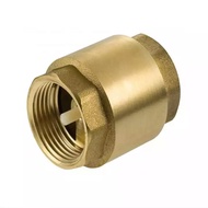 BRASS SPRING CHECK VALVE / NON-RETURN VALVE