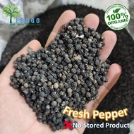 【Grade A】[ 100% Fresh ] SARAWAK Sarikei Premium  Black Peppercorn / Biji Lada Hitam Sarawak Black Pepper 纯砂拉越黑胡椒粒