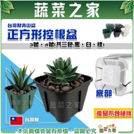 [Vegetable House] Taiwan-Made Qingshan Pot Square Root Control No. 3, 4 Multi-Color Optional Opening