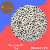 511 Pur chicken pitik chicks 1kg