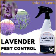 🌻Herbal Secrets, LAVENDER SPRAY, Organic pesticide for plants, 500mL,Termite Killer Pest Control, Ne