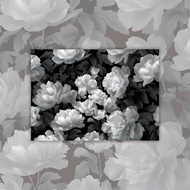 A4. Flower Mono Tracing Paper