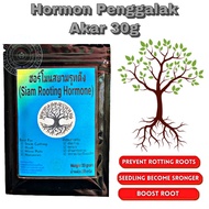 [30 g] Original Thailand Siam Rooting Hormone/Baja akar /Hormon Penggalak Akar/Keratan Batang Tut/Nu