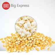 Popcorn Mushroom / Popcorn Kernels / Bertih Jagung - 500g