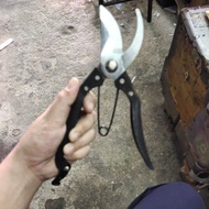 "Ponny" Pruning Shears (code: RM-9003)