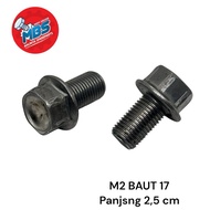 MESIN 17 FLANGE BOLT M12X25 STEEL OIL BOLT ENGINE BOLT ETC BAUD 17 length 2.5 cm