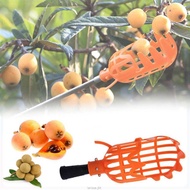 EPOCH Garden Fruit Picker Tool - A47