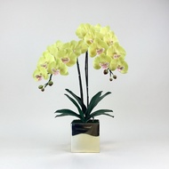 Fake Orchid Vase Yellow Phalaenopsis With Gold Realistic Flowers
