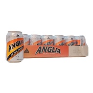 Anglia Shandy The Real Jolly Shandy (ctn of 24cans)