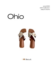 STEP TO STORE - OHIO