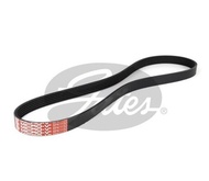 สายพานหน้าเครื่อง 6PK TOYOTA YARIS ATIV NSP151 2NR 1.5 2016- NISSAN ELGRAND E51 VQ25 2.5 GATES