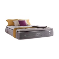 Springbed Central Cordovan