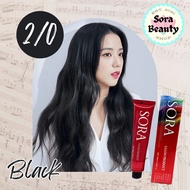 Sora Hair Dye Color 100ml Black Hair Dye Color Set 2/0