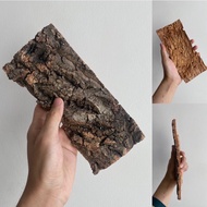 เปลือกไม้ ไม้คอร์ก Cork Bark จากธรรมชาติตกแต่งตู้เลี้ยงสัตว์ สำหรับ กบ​ งู​​ ตะขาบ​​ เก๊กโค​ แมงมุม 