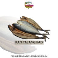 (HALAL) 200gram Ikan Talang Padi Masin Tanjung Dawai Murah | Muslim Product