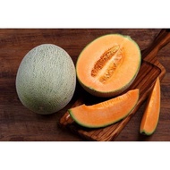 [RARE SEEDS] Australia Super Sweet Rock Melon Seeds/Benih 10pcs 澳洲超甜哈蜜瓜种子十粒
