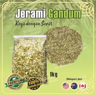 Berkualiti Premium - Jerami Gandum / Alfalfa yang diimport untuk haiwan kecil seperti arnab, cavia, dan hamster, 1kg