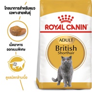 Royal Canin British Shorthair อาหารแมว พันธุ์บริติช ชอร์ตแฮร์