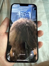 iPhone 13 Pro Max Sierra Blue 512GB