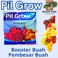 PIL GORW GA3 ZPT BOOSTER BUAH zpt tanaman PEMBESAR BUAH ISI TABLET