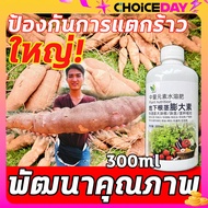 💥ใหญ่!!!💥FM ฮอร์โมนมันสำปะหลัง ผงนัวฉีดมัน ปุ๋ยเร่งหัวมัน 300ml ป้องกันการแตกร้าว ขยายตัวอย่างรวดเร็ว ต้านทานโรค เพิ่มผลผลิต และปรับปรุงคุณภาพ เหมาะสำหรับพืชใต้ดินหลายชนิด ผักราก ผงดำkga ปุ๋ยมันสำปะลัง ปุ๋ยทางใบมันสำปะหลัง ผงดำฉีดมัน ปุ๋ยระเบิดหัว