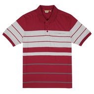 camel active Men Short Sleeve Polo-T in Regular Fit with Multistripe in Maroon Cotton Slub 280-AW22H1058