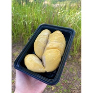Fresh Durian Raub grade A D24 XO durian A级D24 XO果肉400g x1