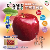 (水果)美國宇宙脆蘋果64規250g*16顆/單層箱