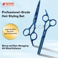 Hairdressing Scissors Set Straight & Thinning Shears, 440C Stainless Steel Salon & Home Use