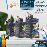 Gondolahealth enzyme Me and Parrots Shop Mixed Oil Gondola Health กอนโดล่า เอนไซม์สำหรับนก เอนไซม์นกแก้ว เอนไซม์ช่วยย่อย เอนไซม์เสริมอาหารนก พร้อมส่ง 🚚