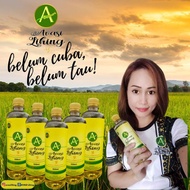 Avasi Lihing 500ml (Rice Wine) 100% Asli