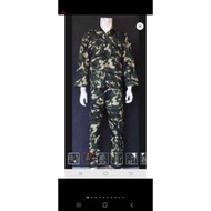 PDL PPM 1 complete set of attributes