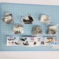 扭蛋玩具    黑白灰三色貓+手提电腦