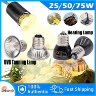 25/50/75W Animal Heat Preservation UVA UVB Lamp Pet Growth Ceramics Light for Amphibians Reptile
