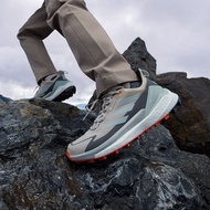 TERREX FREE HIKER 2.0 LOW GORE-TEX 登山運動鞋