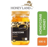 Raw Honey Organic Honeycomb Honey 500g 100% Madu Tulen Asli madu sarang Lebah