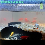 EBINLANDS Aquarium Decoration Tunnel Caves, Multifunctional Curve Aquarium Underground Tunnel Cave, 