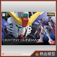 [Hot Blood Model] BANDAI BANDAI Gundam Model 1/144 RG 11 Gundam SEED Destiny Gundam