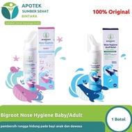 BigRoot Nose Hygiene Baby/Dewasa