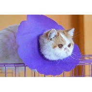 Pet Cat Cone Fabric Collar