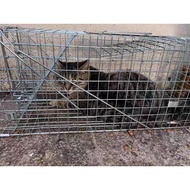 Large Cat Trap Cage Weasel Trap Weasel Lamp Wild Cat Catcher Cage Rat Rat Rat Rat Rat