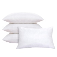 30x50cm 35x55cm 45x45cm 50x50cm White Decorative Pillow Insert Soft Fluffy Plump Cushion Pads Throw