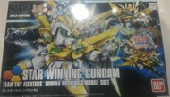 HG/HGBF Star winning Gundam