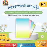 [Express Delivery]Report Cover Paper Rainbow 2 Colors A4 Size 180 Grams Thick 100 Sheets Report Invi