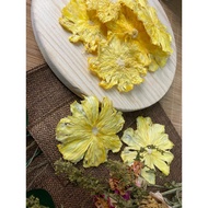 Dehydrated Fruit-Pineapple-凤梨干 50g/100g