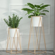 Green Dill Green Plant Living Room Iron Shelf Floor-standing Balcony Indoor Flowerpot Rack Flower Ra