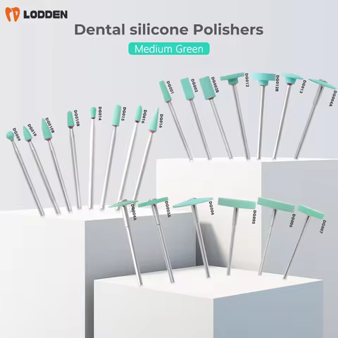 LODDEN Dental Ceramic Diamond Polisher DG001 - DG017 Dentist Lab Grinding Stones Medium for Zirconia