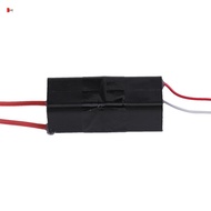 LANHUMY Pulse Igniter Coil Module, 40kV-50kV AC 50*20*18mm High Voltage Generator, Voltage Converter
