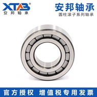 Cylindrical Roller Bearing V P5